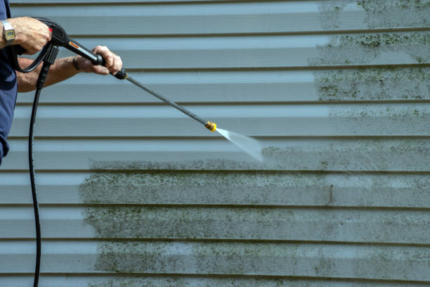 Best Sidewalk Pressure Washing  in Wolf Point, MT
