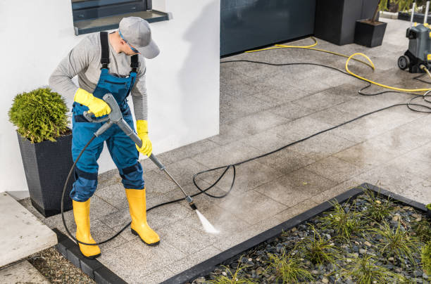 Best Local Pressure Washing Services  in Wolf Point, MT