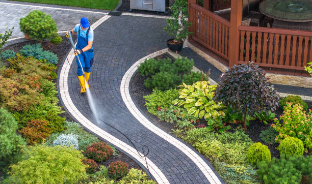 Best Concrete Pressure Washing  in Wolf Point, MT
